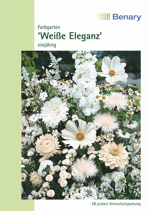 Benary Blumenmischung Farbgarten Weiße Eleganz, einjährig