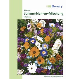 Benary Blumenmischung Niedrige Sommerblumen-Mischung, einjährig