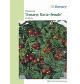 Benary Obsttomate Benarys Gartenfreunde