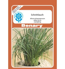 Benary Schnittlauch