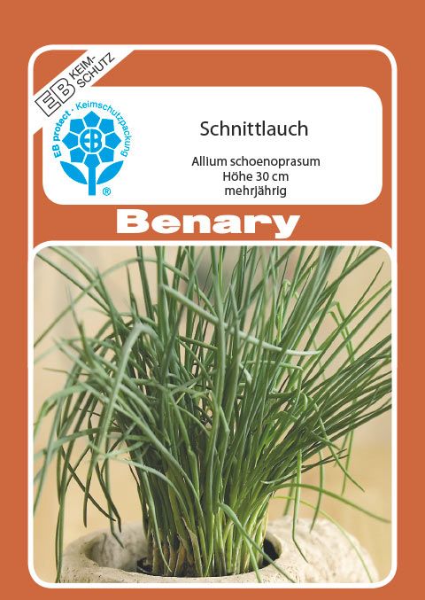 Benary Schnittlauch