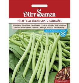 Dürr Samen Filet-Buschbohnen  Castandel