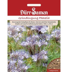 Dürr Samen Gründüngung Phacelia/Bienenfreund 40 g