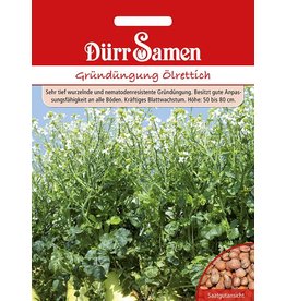 Dürr Samen Gründüngung Ölrettich 1kg