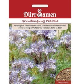 Dürr Samen Gründüngung Phacelia/Bienenfreund 200 g