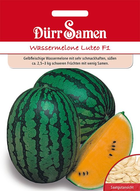 Dürr Samen Orangefleischige Wassermelonen Champagne F1