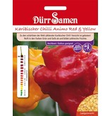 Dürr Samen Karibischer Chilli Animo Red und Yellow