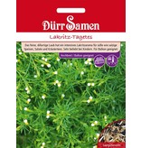 Dürr Samen Lakritz-Tagetes