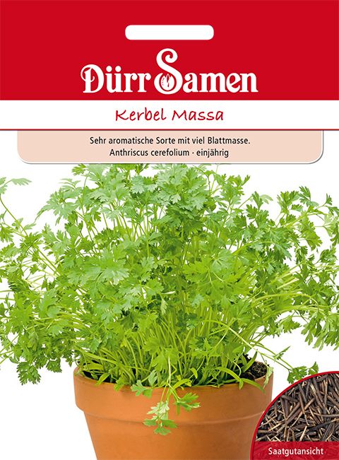 Dürr Samen Kerbel Massa