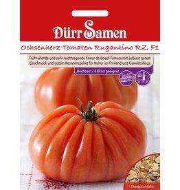 Dürr Samen Ochsenherz-Tomaten Rugantino RZ F1