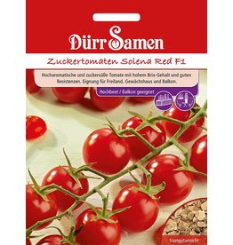 Dürr Samen Zuckertomaten Solena Red F1