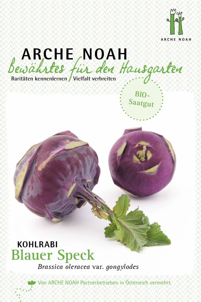 Alte Sorte BIO Kohlrabi Blauer Speck Saat Gut