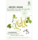 Arche Noah BIO-Stangenbohne Posthörnchen