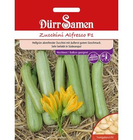 Dürr Samen Zucchini Alfresco F1