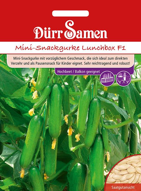 Dürr Samen Mini-Snackgurken Lunchbox F1