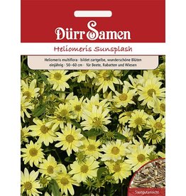 Dürr Samen Sonnenblume Heliomeris 'Sunsplash', einjährig, 50-60cm