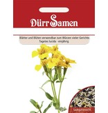 Dürr Samen Würz-Tagetes