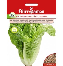 Dürr Samen BIO-Romana-Salat Xaroma