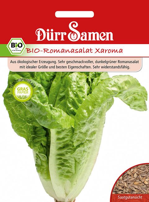 Dürr Samen BIO-Romana-Salat Xaroma