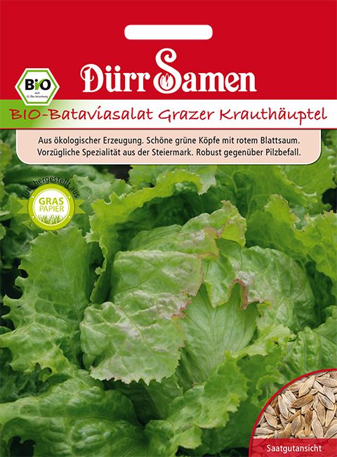 Dürr Samen BIO-Bataviasalat Grazer Krauthäuptel