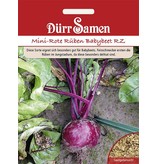 Dürr Samen Mini-Rote-Rüben Babybeet RZ