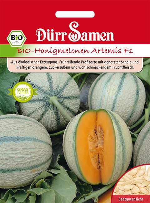 Dürr Samen BIO-Honigmelonen Artemis F1