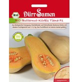 Dürr Samen BIO-Mini-Butternut-Kürbis Tiana F1