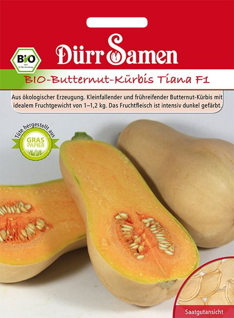 Dürr Samen BIO-Mini-Butternut-Kürbis Tiana F1