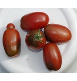 Saat & Gut BIO-Salattomate Black Plum