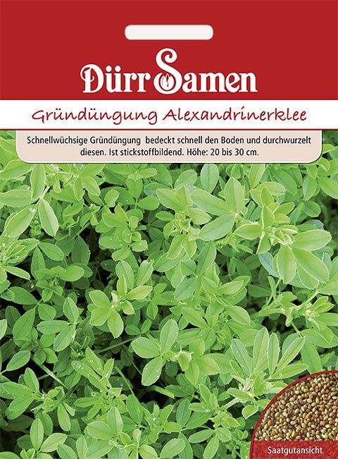 Dürr Samen Gründüngung  Alexandrinerklee 250 g