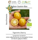 Saat & Gut BIO-Balkon-Saaten-Box