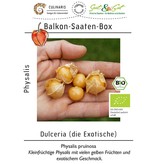 Saat & Gut BIO-Balkon-Saaten-Box