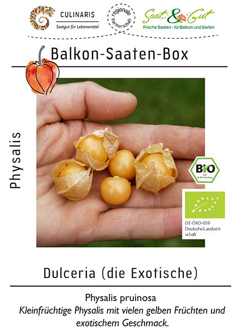 Saat & Gut BIO-Balkon-Saaten-Box