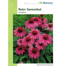 Benary Roter Sonnenhut Mehrjährig