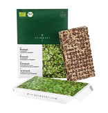 Heimgart BIO-Brokkoli Microgreen Saatpad