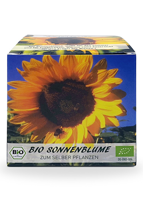 Saat & Gut Anzuchtset - BIO Sonnenblume