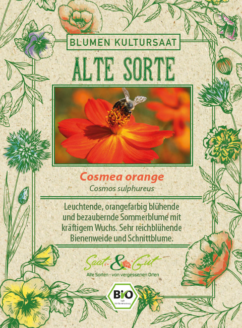 Saat & Gut BIO-Cosmea orange