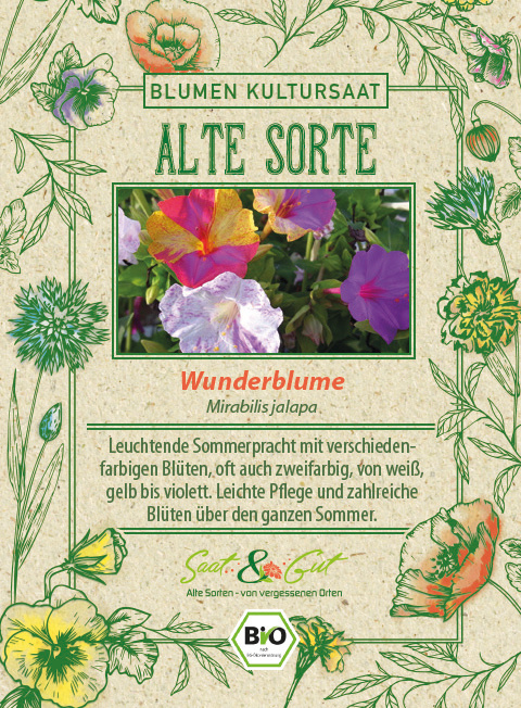 Saat & Gut BIO-Wunderblume