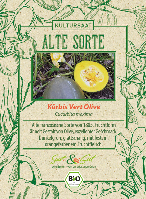 Saat & Gut BIO-Kürbis Vert Olive