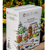 Saat & Gut BIO Gemüse-Saatgut Adventskalender