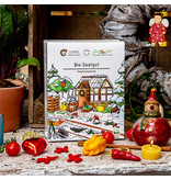 Saat & Gut BIO Gemüse-Saatgut Adventskalender