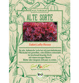 Saat & Gut BIO-Pflücksalat Lollo Rossa