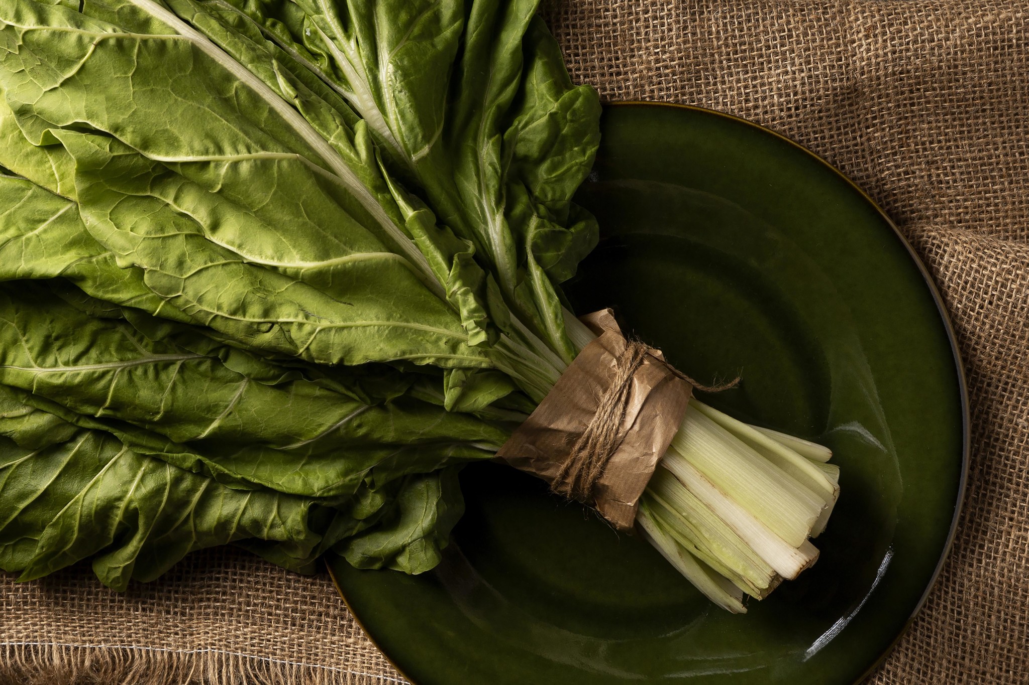 Saat & Gut BIO-Mangold Brilliant