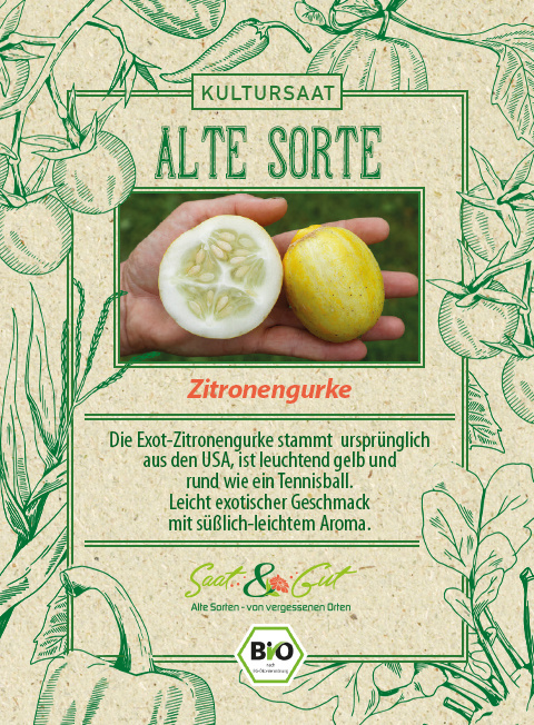 Saat & Gut BIO-Zitronengurke