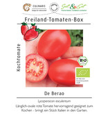 Saat & Gut BIO-Freiland-Tomaten-Box