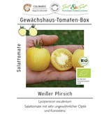 Saat & Gut BIO-Gewächshaus-Tomaten-Box