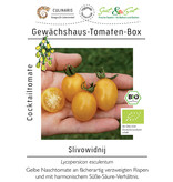 Saat & Gut BIO-Gewächshaus-Tomaten-Box