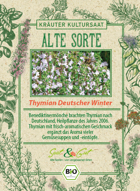 Saat & Gut BIO-Thymian Deutscher Winter