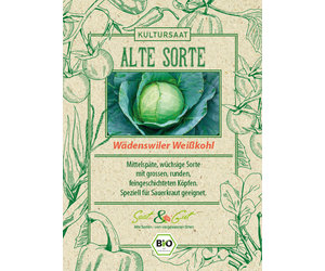 Alte Sorte - BIO-Weikohl Wdenswiler - Saat & Gut