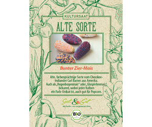 klappertopf saatgut Zottiger Klappertopf-Samen – LaCaTho GmbH